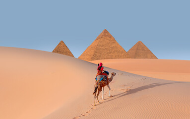 Camels in Giza Pyramid Complex - A woman in a red turban riding a camel across the thin sand dunes - Cairo, Egypt
