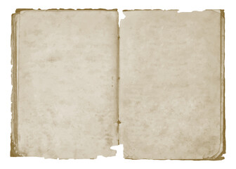 The empty pages of an old antique open tattered torn book
