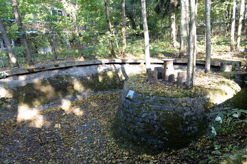 An old dried-up pond on the territory of dachas in the Green cul-de-sac of the literary village of...