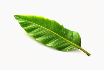 Obraz premium fresh banana leaves isolated on white background. generative ai