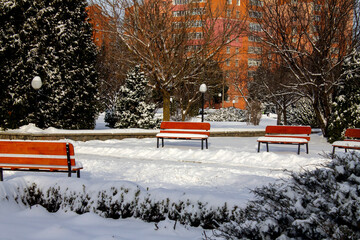 bench in the park - 704393102