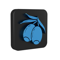 Blue Olives branch icon isolated on transparent background. Black square button.