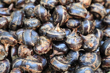 Pile of waternut or chinese water chestnut in for sale in the market in the north of thailand
