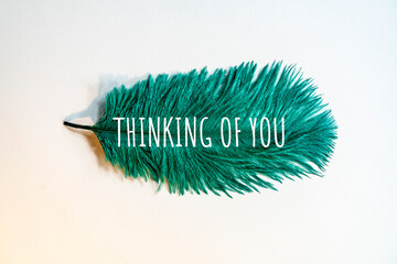 Thinking of you-card.  ostrich feather of turquoise color.