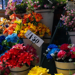 flowers in a florist display stand with price label