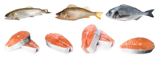 Different types of raw fish isolated on white, set
