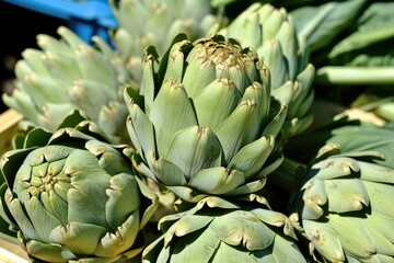 Obraz premium Fresh raw artichoke.