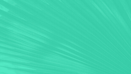 Abstract cold green panoramic, background with palm leaves lines pattern