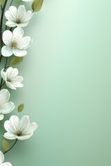 spring flowers on green background