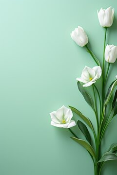 Fototapeta spring flowers on green background