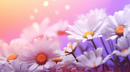 A dreamy field of daisies with a gradient of purple and pink hues under a soft, magical light.