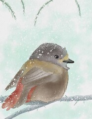 Bird made in watercolor style sitting on branch with snow