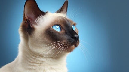 In this realistic 3D render, a regal Siamese cat gazes off into the distance, its striking blue eyes contrasting with its cream-colored coat. The cat's poised demeanor exudes an air of elegance.