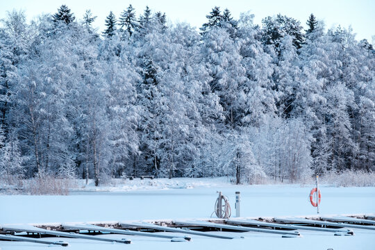 A view of a frozen leisure boat harbor with snow covered trees in the background.