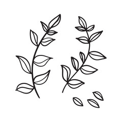 Black and white sheet. Vector illustration highlighted on a white background. For nature, eco and design. Hand-drawn plants, a frame for a postcard.