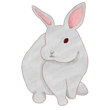Bunny Sticker