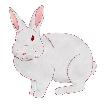 Bunny Sticker