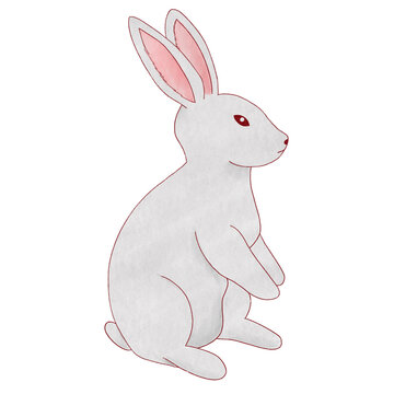 Bunny Sticker