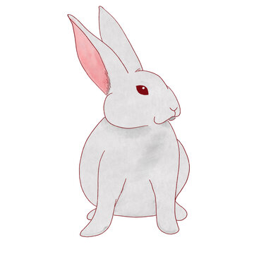 Bunny Sticker