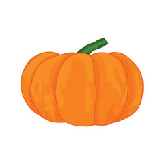 Ripe orange pumpkin isolated on white background. Healthy organic food concept. Vector vegetables illustration in flat style.