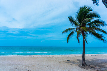 The sea beach in summer is very beautiful.