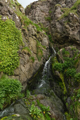 Kleiner Wasserfall am Gobbins Cliff in Nord Irland