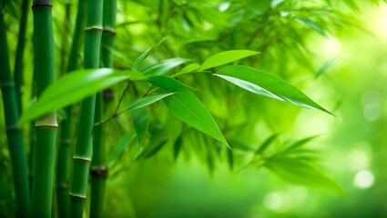 Fototapeta na wymiar Closeup of bamboo forest trees and leaf, Green natural green leaves plants using as spring background cover page greenery environment ecology wallpaper. Generative Ai