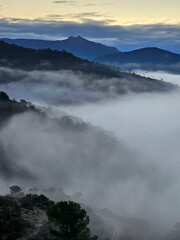 brume sur le Mont Vinaigre