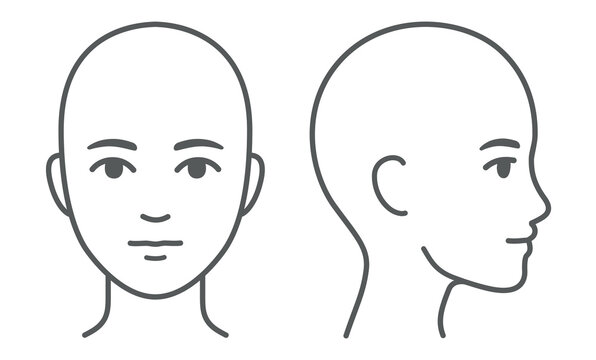 Face and head profile diagram (without hair). Blank unisex head template for medical infographic. Isolated vector illustration.
