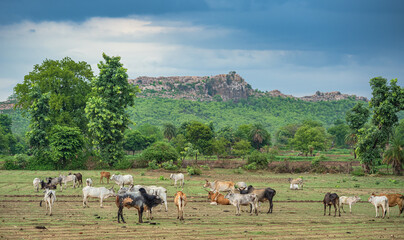 Beautiful Landscape of outer side of Orchha, Madhya Pradesh, India