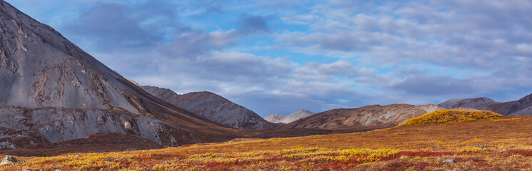 Naklejka premium Polar tundra