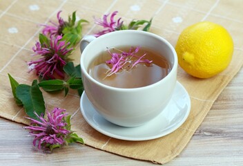 Cup of herbal tea from Monarda didyma flower head and leaves. Sweet smelling tea with bergamot aroma, often used as medicinal herb.