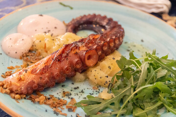 Delicious grilled octopus tentacle, accompanied by salad. 