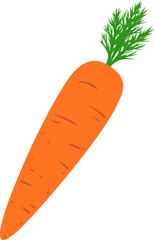 Carrot. Fresh root vegetable. Concepts of food and cooking. Colorful spring vegetable. Natural product. Healthy eating and diet. Design of greeting cards, posters, patches, prints on clothes, emblems.