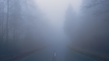 Fototapeta premium dense fog over the the empty road in the forest