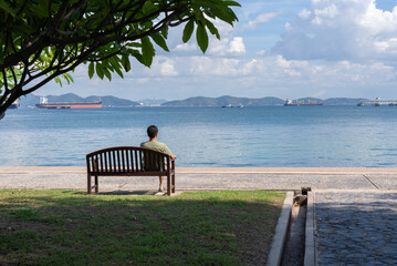 Rear View of Man Sitting on Bench Looking at Ocean in Summer