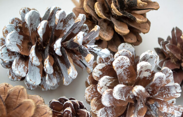 On a white background, there are many cones painted with white paint. cones on a white background. snow-covered cones.