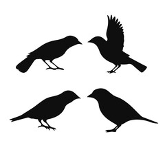 Vector Collection of Bird Silhouettes
