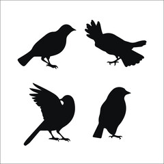 Vector Collection of Bird Silhouettes