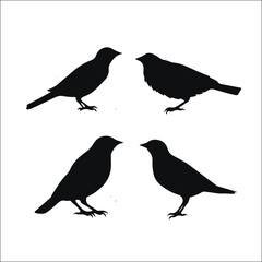 Vector Collection of Bird Silhouettes