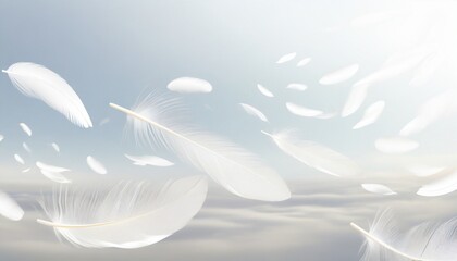 abstract white bird feathers falling in the sky freedom feather softness floating white feather