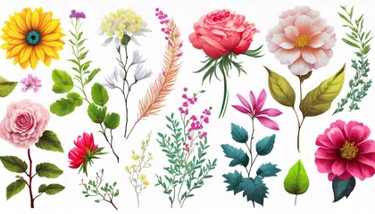 Behang set of elements natural floral flowers vintage corner graphic design pack © Enzo