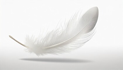 down feather soft white fluffly feather falling in the air swan feather