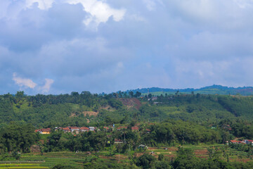 landscape of green rice terraces with traditional Indonesian houses around it