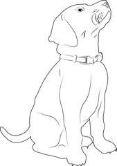 Silhouette dog drawn in pencil. Dog in a collar on a white background. Design of greeting cards, posters, patches, prints on clothes, emblems. Puppy. Pet.