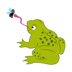Green toad. A frog hunts a dragonfly in a pond, swamp or lake. Background with water lily grass and reeds. Design of greeting cards, posters, patches, prints on clothes, emblems. Watercolor style.
