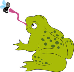 Green toad. A frog hunts a dragonfly in a pond, swamp or lake. Background with water lily grass and reeds. Design of greeting cards, posters, patches, prints on clothes, emblems. Watercolor style.