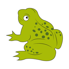 Frog on a white background. Green toad. A frog hunts a dragonfly in a pond, swamp or lake. Design of greeting cards, posters, patches, prints on clothes, emblems. Watercolor style.