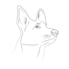Outline dog's head. Dog on a white background. Design of greeting cards, posters, patches, prints on clothes, emblems. A pet. Friend of human.