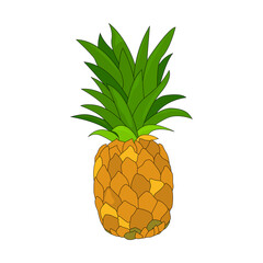Pineapple with leaves. Pineapple fruits. Pineapple exotic tropical fruit. Natural product. Healthy eating and diet. Design of greeting cards, posters, patches, prints on clothes, emblems.